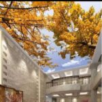 استريتش سيلنج